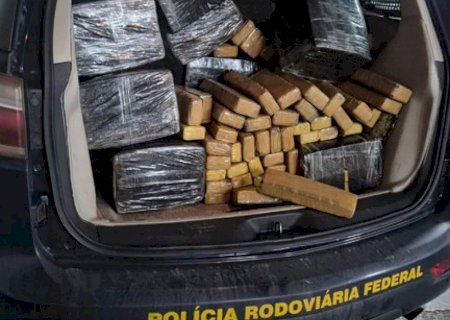Motorista foge e capotar veículo com quase 700 quilos de maconha
