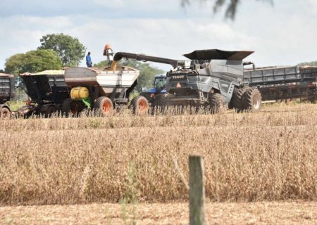 Agronegócio puxa crescimento de MS acima da média nacional