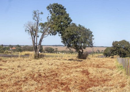 CCR começa duplicação da BR-163 próximo a Campo Grande