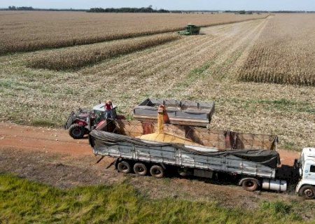 Agro critica Plano Safra por encarecer crédito diante dos juros altos>