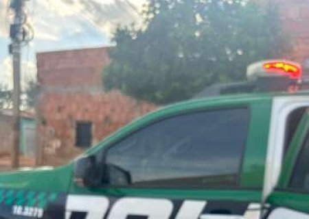 Corte de árvore derruba ninho e filhotes de periquito-rei são resgatados