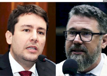 Após críticas, Pollon e Catan são vistos como 'cartas fora do baralho' no PL>