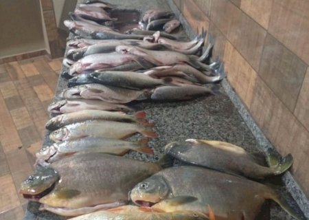 Com dourado e outros peixes irregulares, pescadores são multados em mais de R$ 13,5 mil