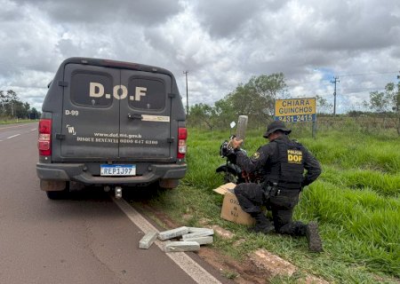 Traficante tenta escapar por plantação, mas é capturado pelo DOF com  maconha