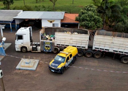 Polícia Militar apreende 20 toneladas de maconha em meio a carga de milho