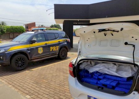 Casal é preso transportando 245 quilos de maconha em veículo