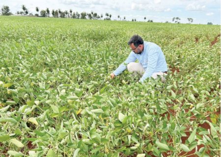 Produtores rurais renegociaram mais de R$ 212 milhões em dívidas em MS