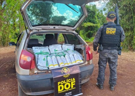 DOF apreende veículo com defensivos agrícolas contrabandeados em Laguna Carapã