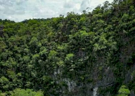 Se n&atilde;o vai para lugar de praia, escolha passeios de ecoturismo
