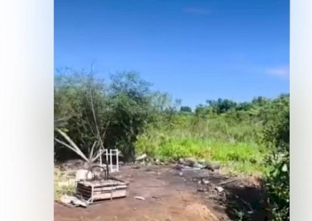 Corpo carbonizado é encontrado em área de mata em Dourados