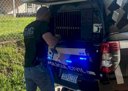 Homem é preso ao ser flagrado se masturbando na frente de vizinhos em Anaurilândia
