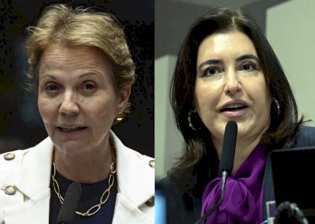 Com Flávio Bolsonaro no páreo, Tereza e Simone ganham força nacionalmente