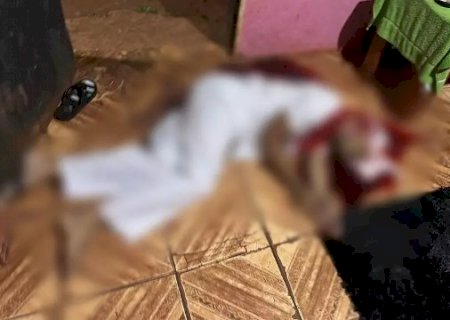 C&uacute;mplice marcou consulta antes de morte de tar&oacute;logo, informa MP