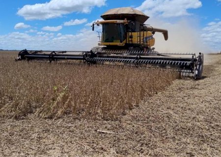 Colheita da soja em Mato Grosso do Sul chega a 14,9% e mantém avanço desigual