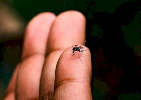 Mato Grosso do Sul registra 107 casos confirmados de dengue