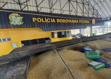 PRF intercepta mais de 3 toneladas de maconha escondidas em carga de soja na BR-163