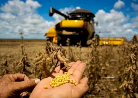 Bol&iacute;via pode baratear fertilizantes e turbinar agro de MS