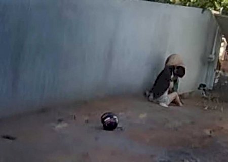 Cão morre ao defender tutora de ataque de Pitbull: 'poderia ser minha filha' (vídeo)