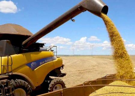 Soja bate recorde no Brasil e MS acelera produ&ccedil;&atilde;o com salto de 14% na safra