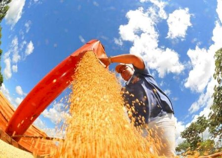 MS s&oacute; consegue armazenar 48,4% da produ&ccedil;&atilde;o de gr&atilde;os