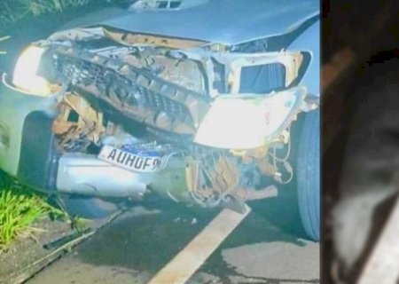 Família escapa ilesa após caminhonete bater em anta na MS-316, em Paraíso das Águas>