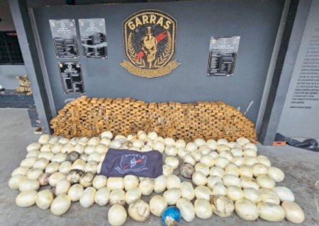 Polícia apreende  R$ 30 milhões em cocaína