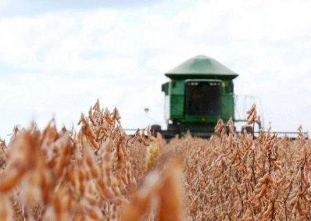 Mato Grosso do Sul é o 4º estado com mais pedidos de recuperação judicial no agronegócio>