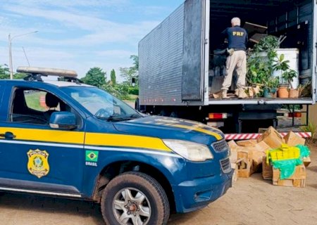 Caminhão é apreendido transportando 1,5 tonelada de maconha