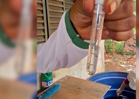 Em meio à epidemia, frente fria pode aliviar avanço da chikungunya em MS
