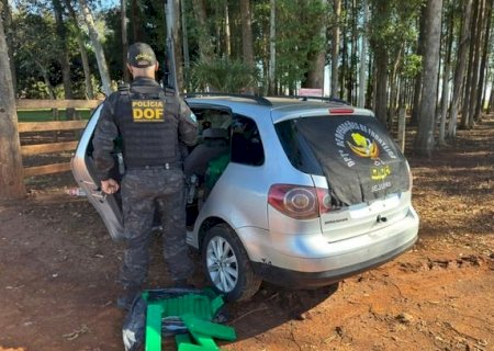 Operação do DOF intercepta carga de drogas que teria destino Caarapó