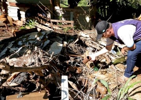 Com epidemia de chikungunya, 67% das cidades de MS têm infestação de Aedes aegypti; Caarapó está com risco médio>