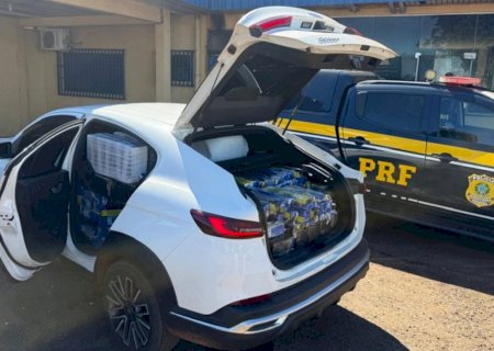 Polícia apreende quase uma tonelada de maconha em veículo>