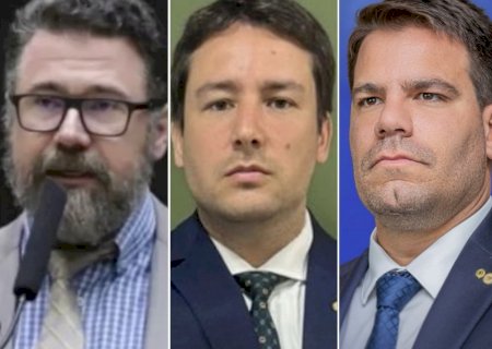 Candidaturas do Novo podem complicar vida de Pollon e Contar na luta pelo Senado>