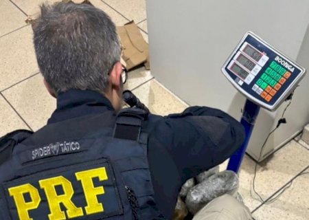 Menor é apreendido com mais de 11 quilos de skunk na BR-262>