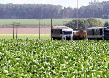 MS entra no radar do BC ap&oacute;s economia crescer quase o dobro da m&eacute;dia nacional>