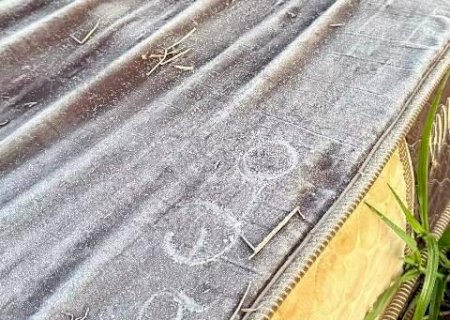 Leve geada cobre lavoura de milho e atinge Caarapó e mais 5 municípios de MS