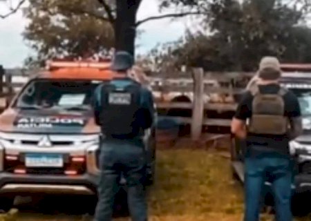 Polícia recupera 64 cabeças de gado furtadas e prejuízo passa de R$ 130 mil em MS