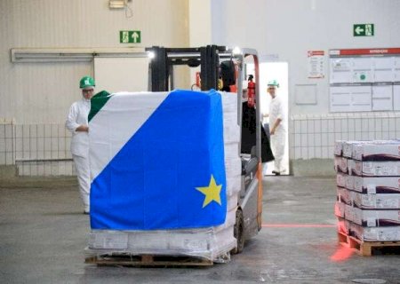 Exporta&ccedil;&otilde;es de carne de MS para a China aumentam 57,45% antes de nova tarifa>