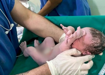 Congelar óvulos é opção que cresce entre mulheres de MS e pode custar mais de R$ 20 mil>