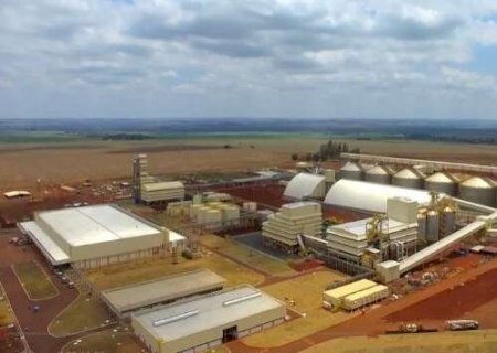Mesmo com 6 esmagadoras, MS ainda vende quase metade da soja como commodity>