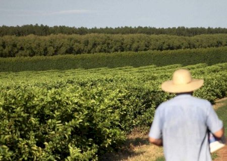 Senado aprova projeto que renegocia d&iacute;vidas de produtores rurais>