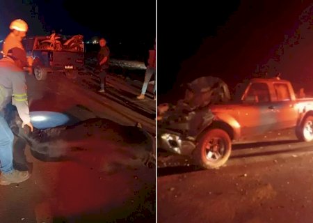 Caminhonete atinge rebanho na BR-163 e seis vacas morrem>