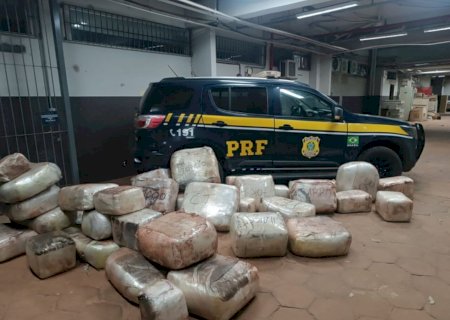 Caminhoneiro demonstra nervosismo e acaba preso com 550 kg de skunk e 33 kg de cocaína>
