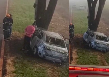 Vereador de Douradina é o sobrevivente de acidente com dois mortos na MS-379>