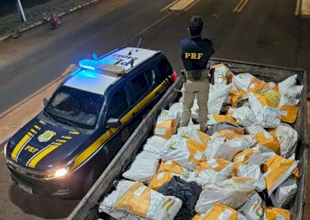 Carga milionária de maconha é descoberta sob sacas de chia