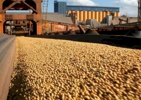 Super&aacute;vit comercial de MS cresce 13,16% no semestre e atinge US$ 4,648 bilh&otilde;es