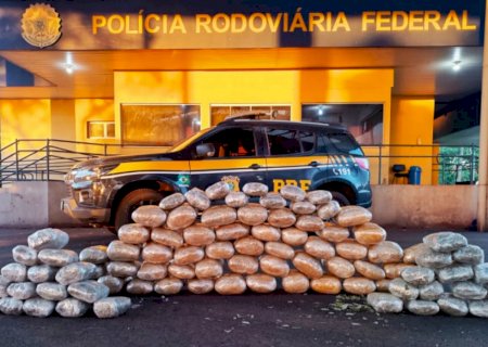 Polícia apreende 75 kg de skunk em ônibus que seguia para São Paulo
