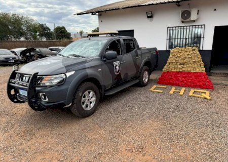 Polícia flagra depósito do tráfico com quase meia tonelada de maconha e prende mulher>