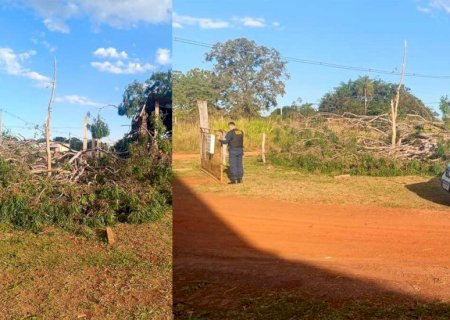 Homem é esmagado enquanto cortava árvore e morre em Anhanduí>