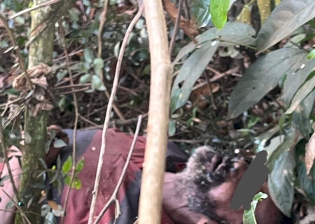Corpo em avançado estado de decomposição é encontrado em fazenda na zona rural de Caarapó>